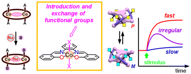 Graphical abstract: Dynamic functions of bis- and tris(saloph) cobalt(iii) structures based on axial coordination