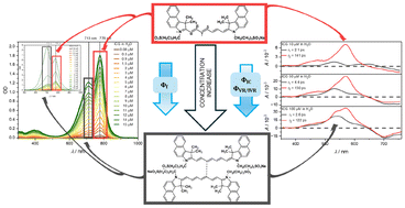 Graphical abstract: ICG revisited: excited-state dynamics as a function of dye concentration and solvent environment