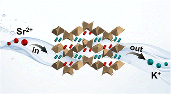 Graphical abstract: The efficient removal of Sr2+ using two thiostannates via ion exchange