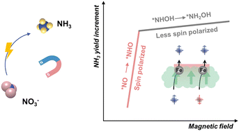 Graphical abstract: Non-linear spin correlation of intermediates in enhanced electrochemical nitrate reduction under magnetic fields