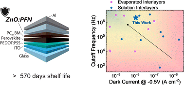 Graphical abstract: A solution processed metal-oxide:polymer interlayer improves the perovskite photodetector response speed, dark current, and stability