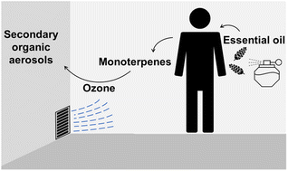 Graphical abstract: Analysis of indoor secondary organic aerosol formation near occupants in a classroom using computational fluid dynamics simulations