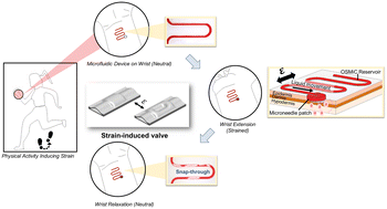 Graphical abstract: Morphing out-of-surface channels enable strain-based control over fluid flow in skin-mountable patches