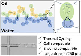 Graphical abstract: A biocompatible surfactant film for stable microfluidic droplets