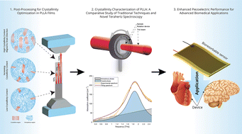 Graphical abstract: Advancing green electronics: tunable piezoelectric enhancement in biodegradable poly(l-lactic acid) PLLA films through thermal-strain engineering