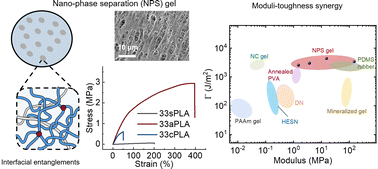 Graphical abstract: Nanophase separation and interfacial entanglements enable tough hybrid polymer networks