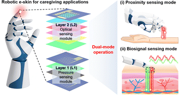 Graphical abstract: Multifunctional electronic skin integrating dual-mode optical and pressure sensors for caregiving robots