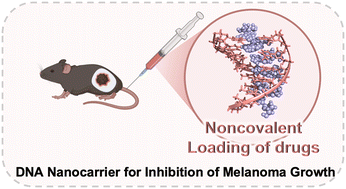 Graphical abstract: Noncovalent and precise loading of small molecule drugs on DNA nanocarriers
