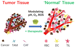Graphical abstract: Recent advances in pH-sensitive clay nanomaterials for enhanced immunotherapy of solid tumors