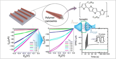 Graphical abstract: Aligned conjugated polymer nanowires for enhanced performance in organic transistors and neuromorphic devices