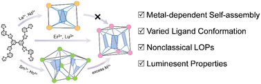 Graphical abstract: Ionic radius-dependent self-assembly of lanthanide organic polyhedra: structural diversities and luminescent properties