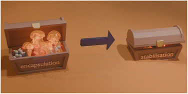 Graphical abstract: Encapsulation of reactive species within metal–organic cages