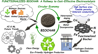Graphical abstract: Unravelling the HER activity of functionalized biochar: a pathway to cost-effective electrocatalysis