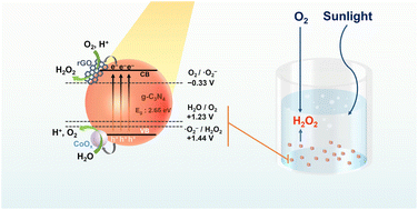 Graphical abstract: Decoration of dual cocatalysts on ultra-thin carbon nitride for efficient H2O2 photosynthesis
