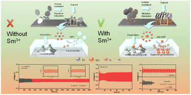 Graphical abstract: Samarium ion-induced interfacial regulation to construct high-performance anodes for aqueous zinc metal batteries