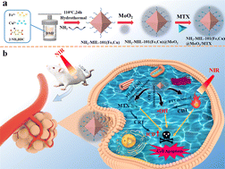 Graphical abstract: Construct an “immunogenic cell death” amplifier based on Fe-MOFs by accelerating Fe(iii) reduction strategies for integration of tumor diagnosis, treatment, and prevention