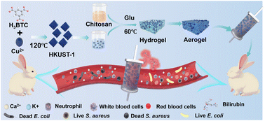 Graphical abstract: Engineering a biocompatible chitosan/MOF aerogel for hyperbilirubinemia treatment in liver failure