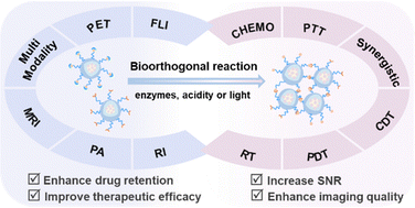 Graphical abstract: Bioorthogonal reaction mediated size transformation clustered nanosystems for potentiating bioimaging and drug delivery