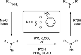 Graphical abstract: Ns strategies: a highly versatile synthetic method for amines