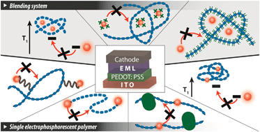 Graphical abstract: Efficient phosphorescent polymer light-emitting diodes by suppressing triplet energy back transfer