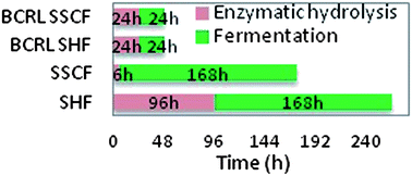 Graphical abstract: A novel integrated biological process for cellulosic ethanol production featuring high ethanol productivity, enzyme recycling and yeast cells reuse