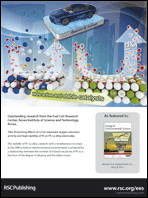 Graphical abstract: Back cover