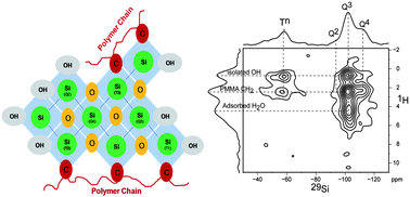 Graphical abstract: Molecular interactions in coupled PMMA–bioglass hybrid networks