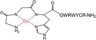 Graphical abstract: Antimicrobial metallopeptides with broad nuclease and ribonuclease activity