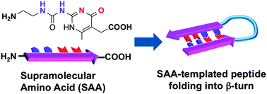 Graphical abstract: Design of supramolecular amino acids to template peptide folding