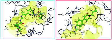 Graphical abstract: Potent, selective small molecule inhibitors of type III phosphatidylinositol-4-kinase α- but not β-inhibit the phosphatidylinositol signaling cascade and cancer cell proliferation