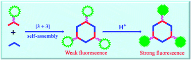 Graphical abstract: Construction of a naphthalimide-containing hexagonal metallocycle via coordination-driven self-assembly and its fluorescence detection of protons