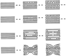 Graphical abstract: Storylines in intercalation chemistry