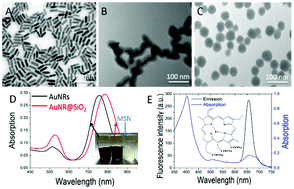 Graphical abstract: Laser beam controlled drug release from Ce6–gold nanorod composites in living cells: a FLIM study
