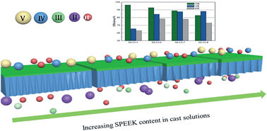 Graphical abstract: Morphology and performance of poly(ether sulfone)/sulfonated poly(ether ether ketone) blend porous membranes for vanadium flow battery application