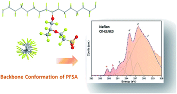 Graphical abstract: Characterization of chain conformations in perfluorosulfonic acid membranes using electron energy loss spectroscopy