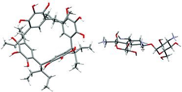 Graphical abstract: The aqueous medium-dimethylsulfoxide conundrum in biological studies