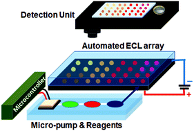 Graphical abstract: Electrochemistry-based approaches to low cost, high sensitivity, automated, multiplexed protein immunoassays for cancer diagnostics