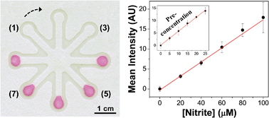 Graphical abstract: Colorimetric determination of nitrite in clinical, food and environmental samples using microfluidic devices stamped in paper platforms