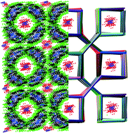 Graphical abstract: Topology analysis reveals supramolecular organisation of 96 large complex ions into one geometrical object