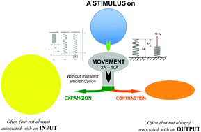 Graphical abstract: Structural flexibility in crystallized matter: from history to applications