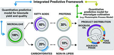 Graphical abstract: Prediction of microalgae hydrothermal liquefaction products from feedstock biochemical composition