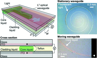 Graphical abstract: Reconfigurable liquid-core/liquid-cladding optical waveguides with dielectrophoresis-driven virtual microchannels on an electromicrofluidic platform