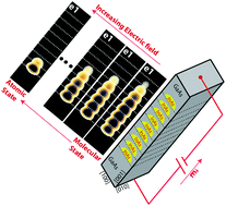 Graphical abstract: Understanding the electric field control of the electronic and optical properties of strongly-coupled multi-layered quantum dot molecules