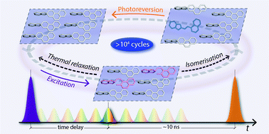 Graphical abstract: Synchronised photoreversion of spirooxazine ring opening in thin crystals to uncover ultrafast dynamics