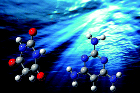 Graphical abstract: Photochemical etiology of promising ancestors of the RNA nucleobases