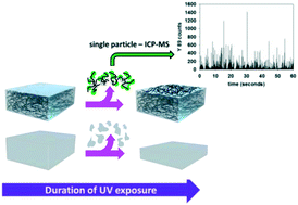 Graphical abstract: Photodegradation of polymer-CNT nanocomposites: effect of CNT loading and CNT release characteristics