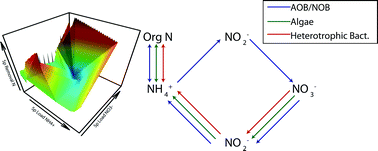 Graphical abstract: Emerging investigators series: untangling the microbial ecosystem and kinetics in a nitrogen removing photosynthetic high density bioreactor