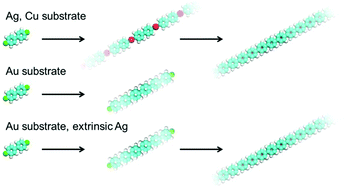 Graphical abstract: On-surface synthesis approach to preparing one-dimensional organometallic and poly-p-phenylene chains