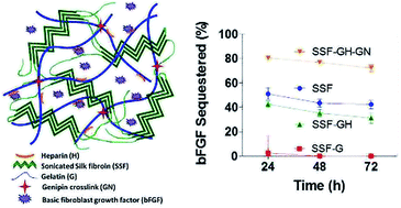 Graphical abstract: In situ formation of silk-gelatin hybrid hydrogels for affinity-based growth factor sequestration and release
