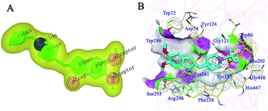 Graphical abstract: Discovery of new acetylcholinesterase and butyrylcholinesterase inhibitors through structure-based virtual screening